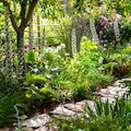 Summer garden with path running through and flowers out
