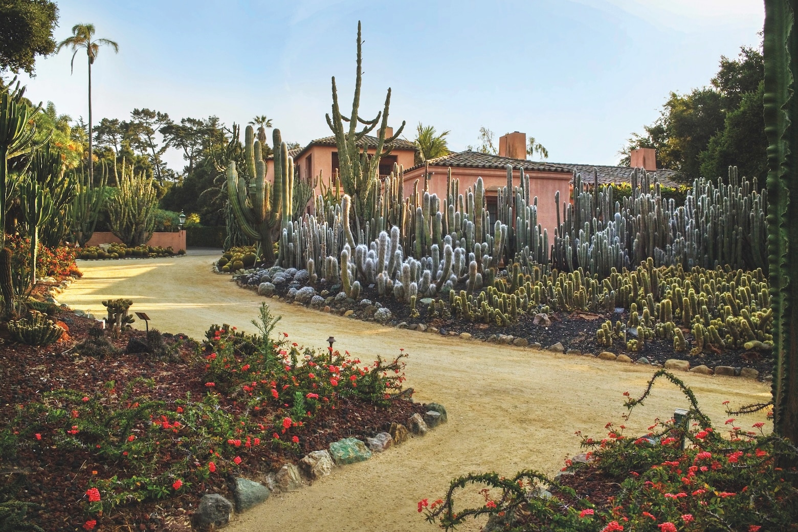 At Lotusland in California, borders are full of cacti rather than more familiar perennials.