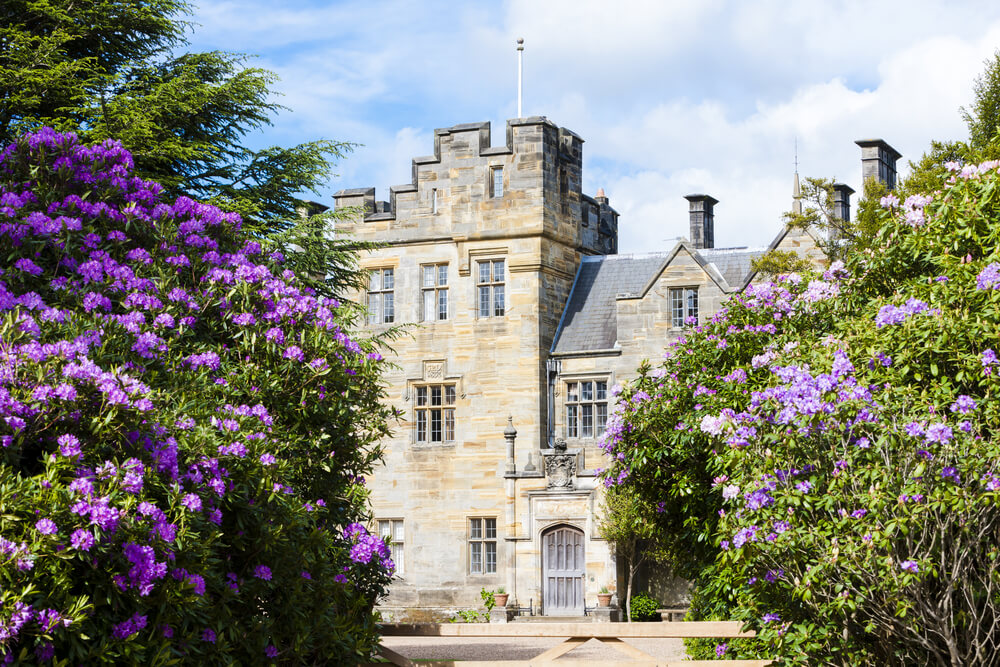 rhododendron gardens at Scotney Castle in Kent 
