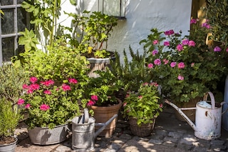 transform your patio