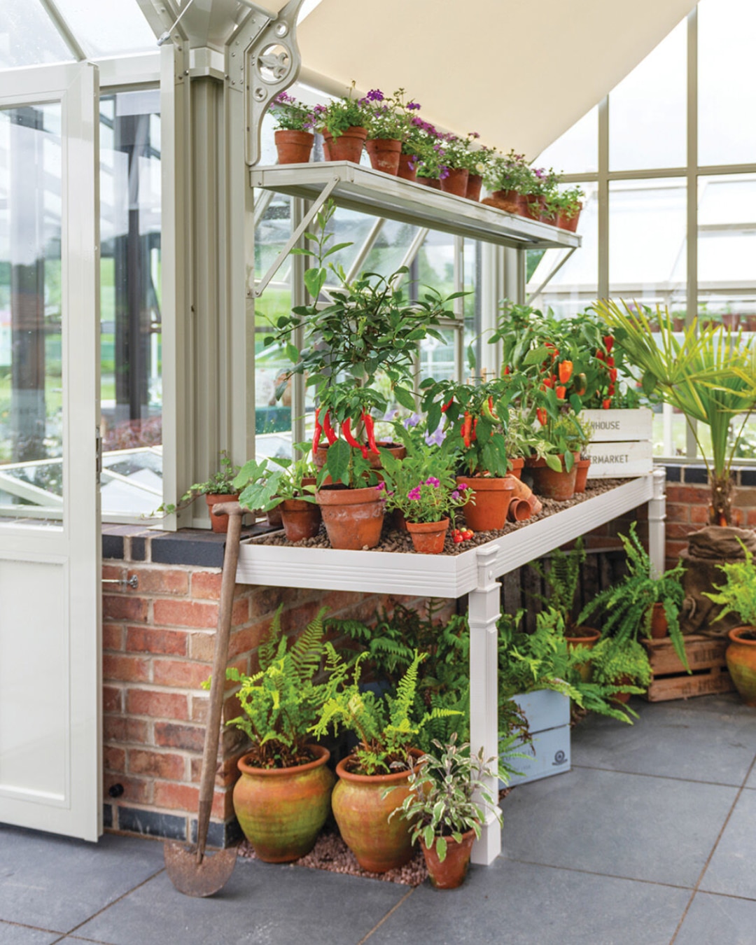 Vegetables in the greenhouse 