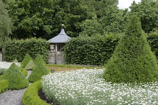 gardenofalargecountryhouse