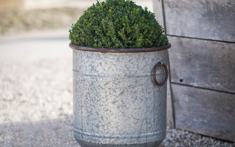 Garden Trading's Malmesbury planter