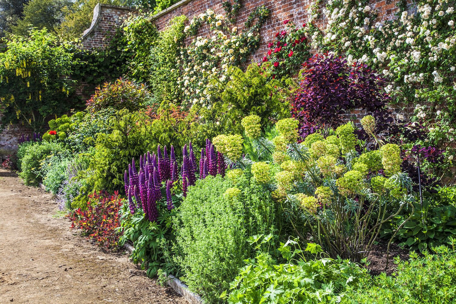 One of the beautiful borders in the Bowood Walled Garden