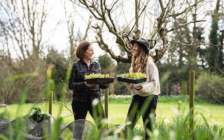 She Grows Veg at RHS Chelsea 2025