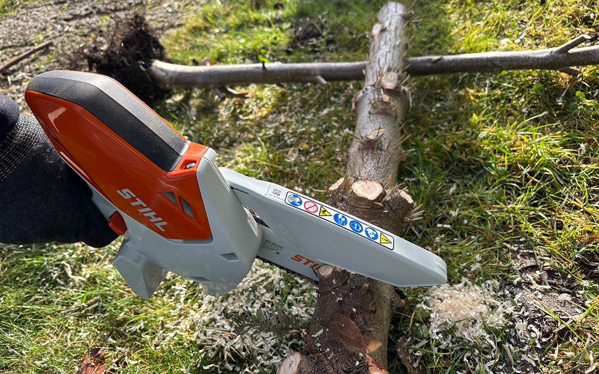Testing the STIHL GTA 30 on a Christmas tree