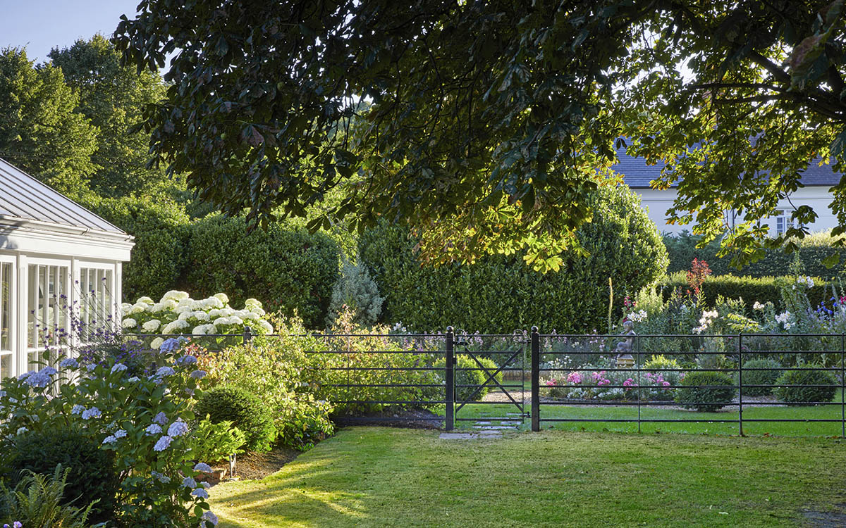 Mary Berry's Henley garden in summer with estate fencing, hydrangeas and lawn 