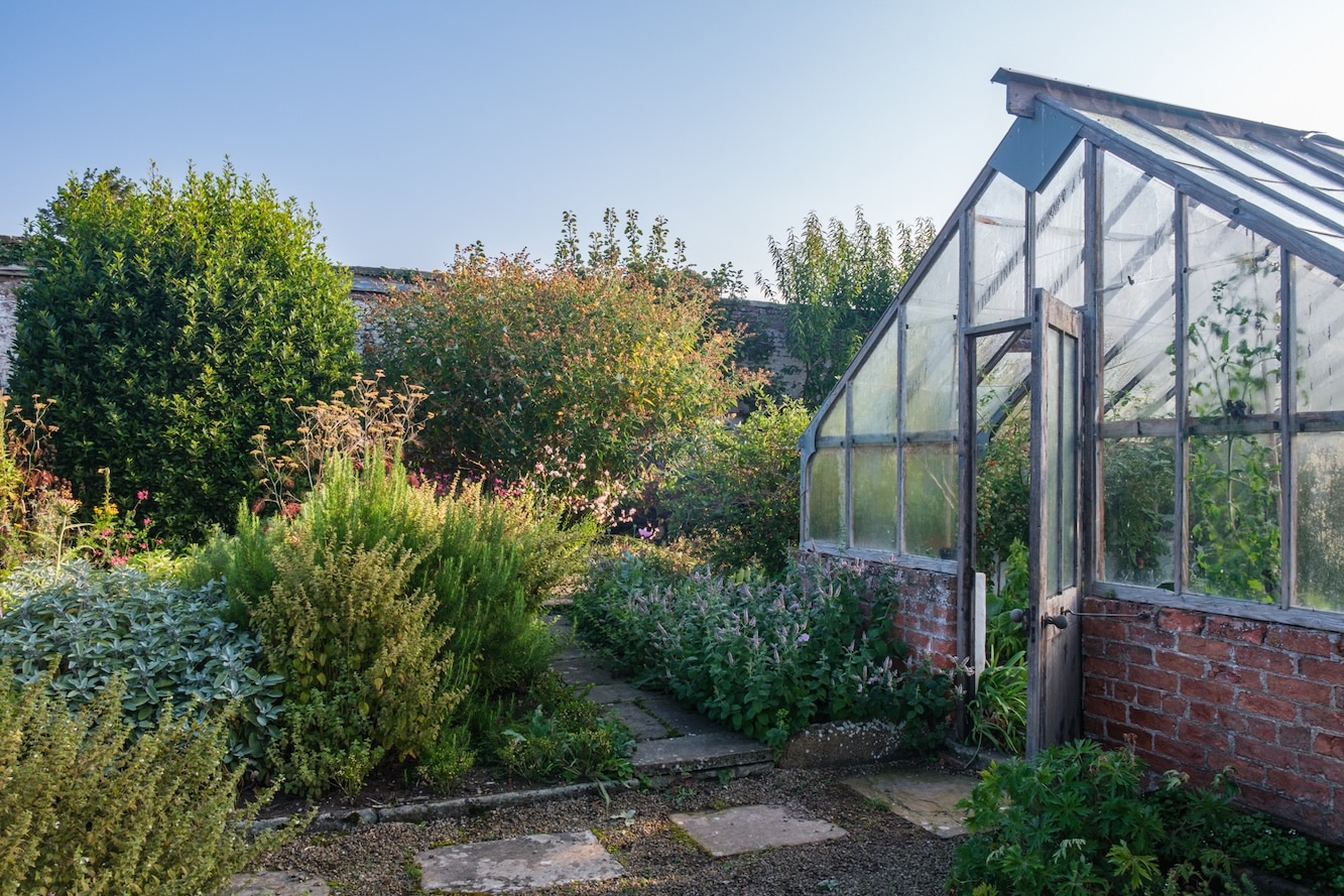 The walled garden 
