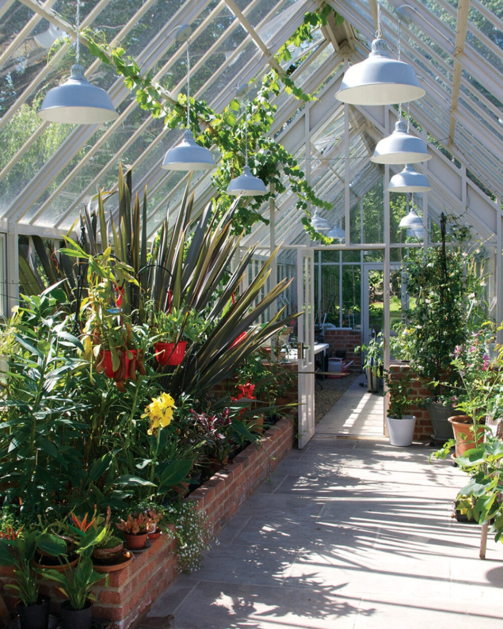 Hartley Botanic greenhouse 
