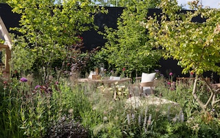 a garden with lots of plants and flowers and three trees with a wooden garden furniture in the middle with cream seat cushions