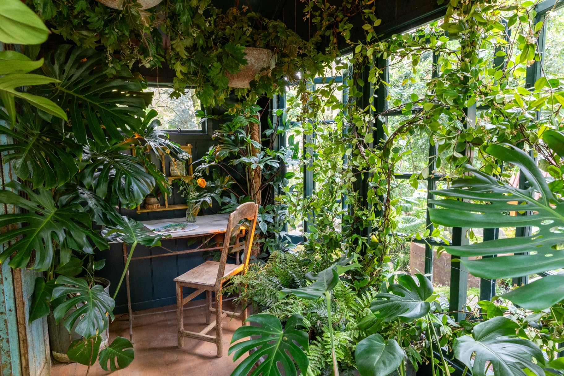 The Conservatory Petersham Nurseries 
