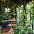 The Conservatory Petersham Nurseries 