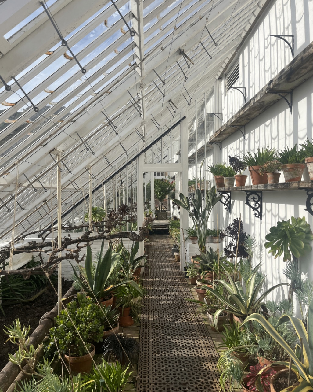 The Lost Gardens of Heligan greenhouse