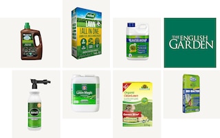 Best lawn feeds for a lush green lawn this summer