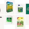 Best lawn feeds for a lush green lawn this summer