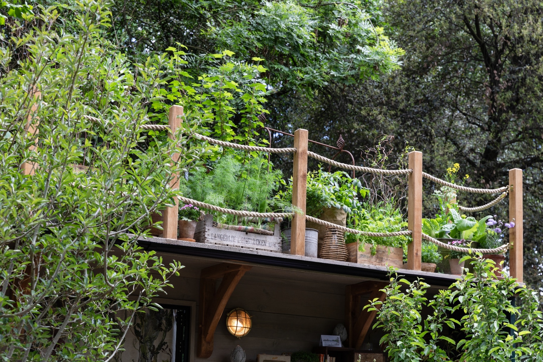 RHS Chelsea flower show 2026 balcony garden