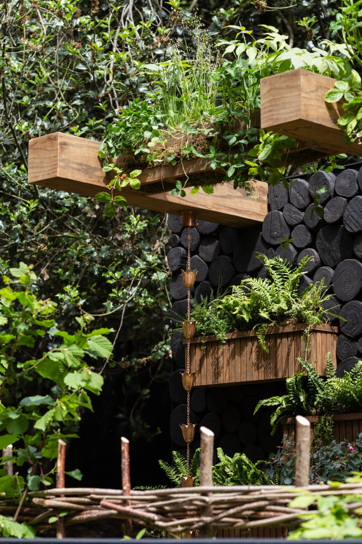 Hedgerow in the sky garden at Chelsea Flower Show 2026