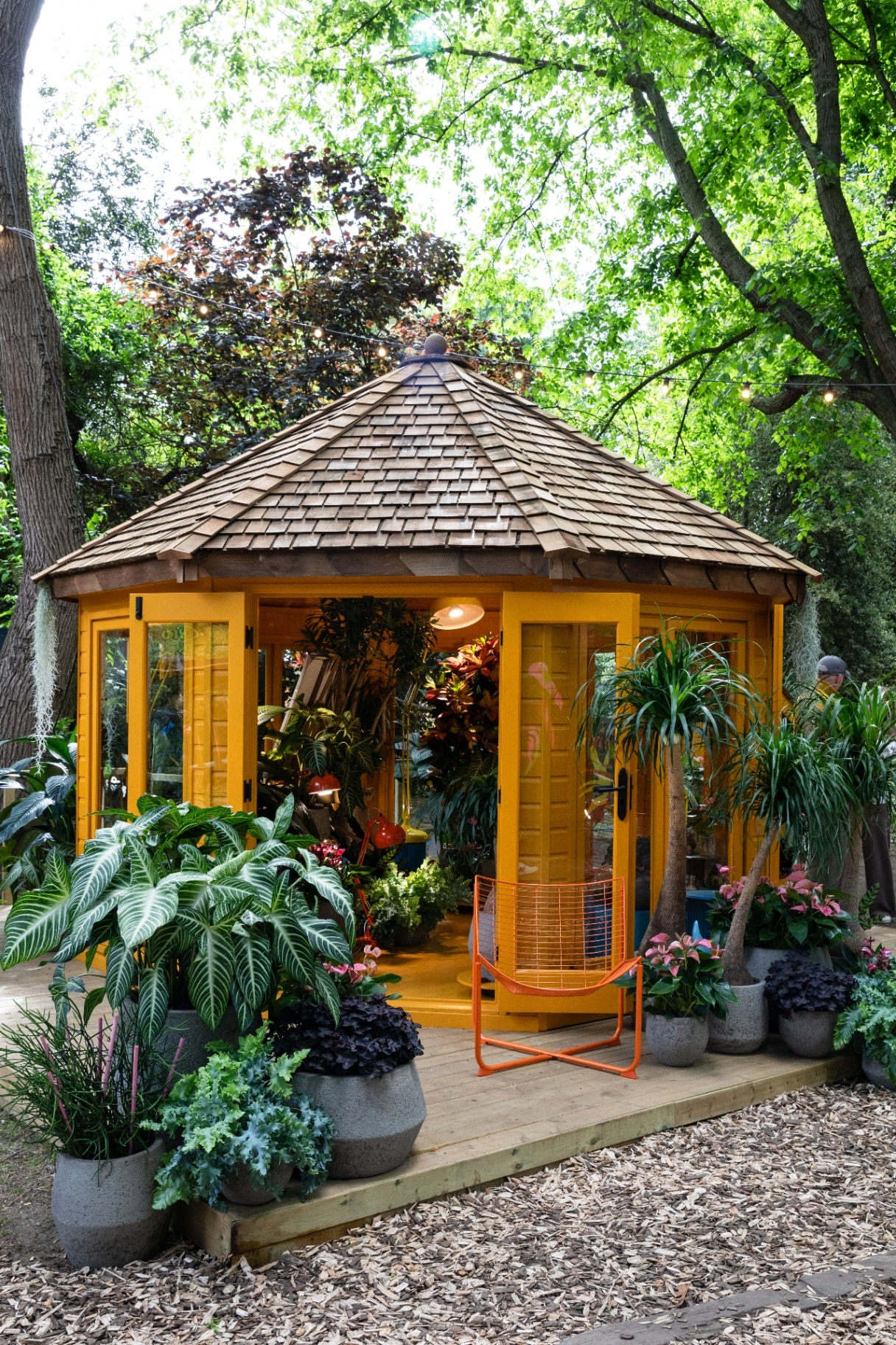 Hugo & Green’s Heliotropic Carousel 