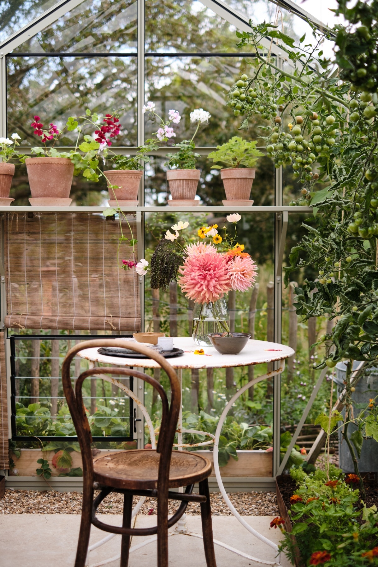Rhino greenhouse 