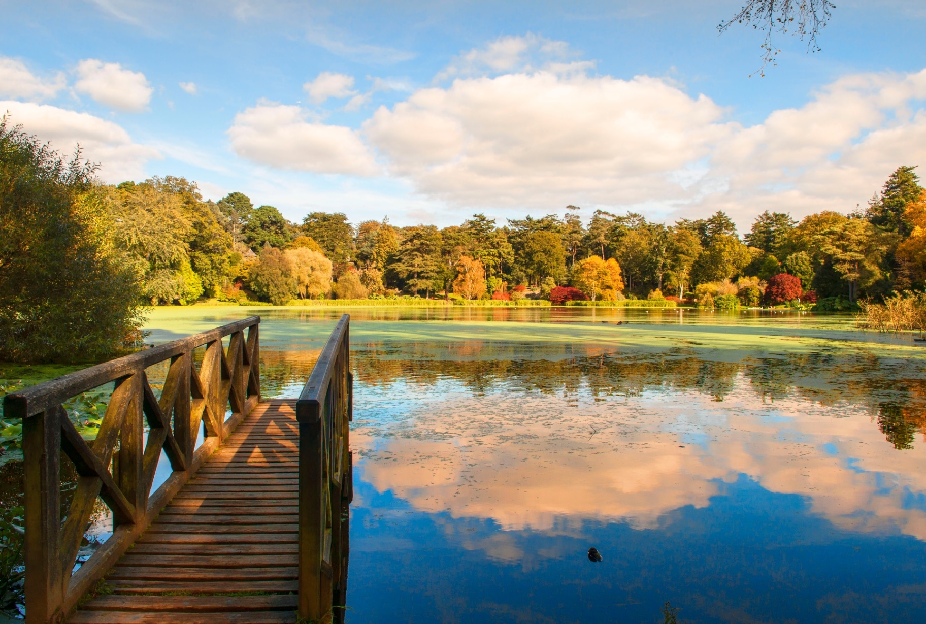 Mount Stewart Autumn Reflections on Boating Lake County Down Northern Ireland