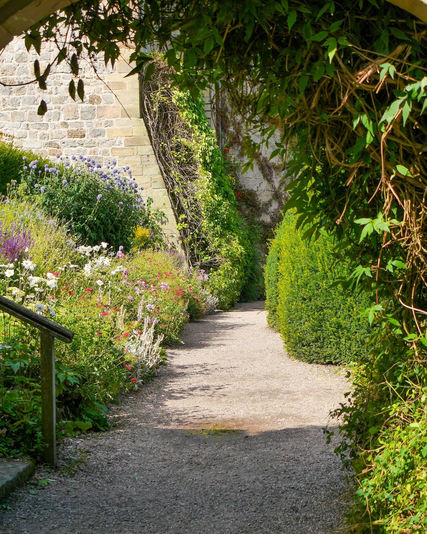 Wandering down the garden path