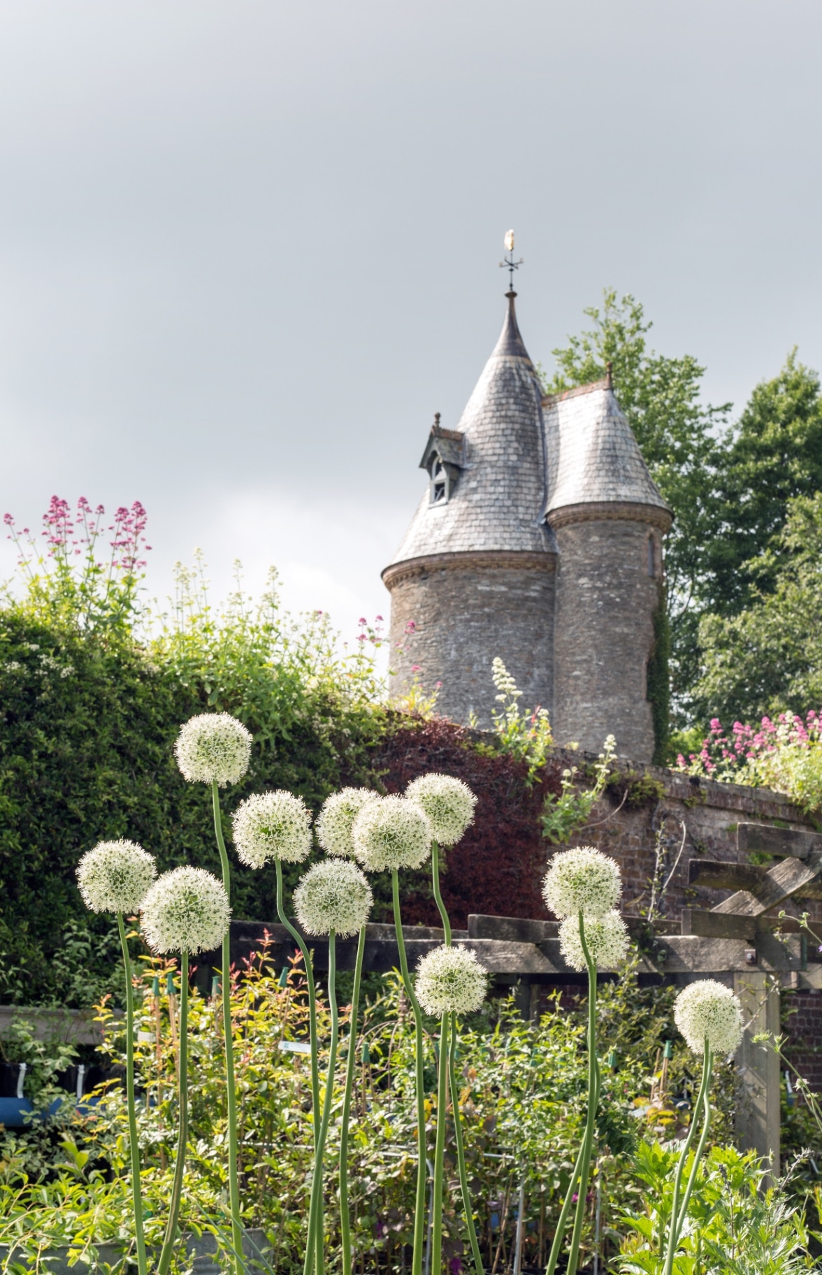 Trelissick Garden, Cornwall