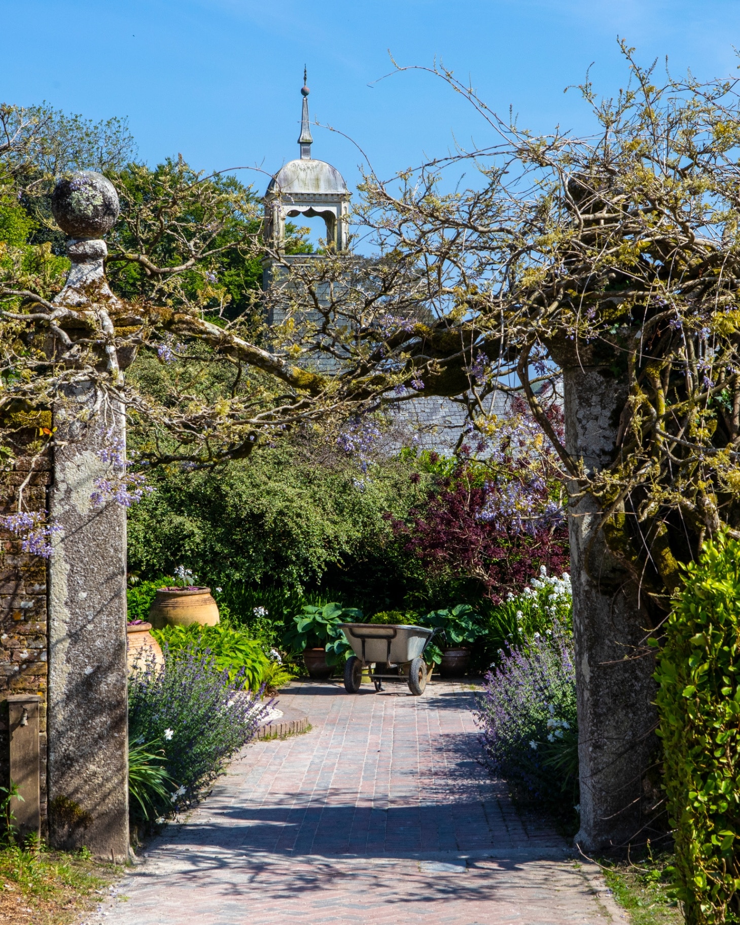 A view in the beautiful Lost Gardens of Heligan in Cornwall, UK.