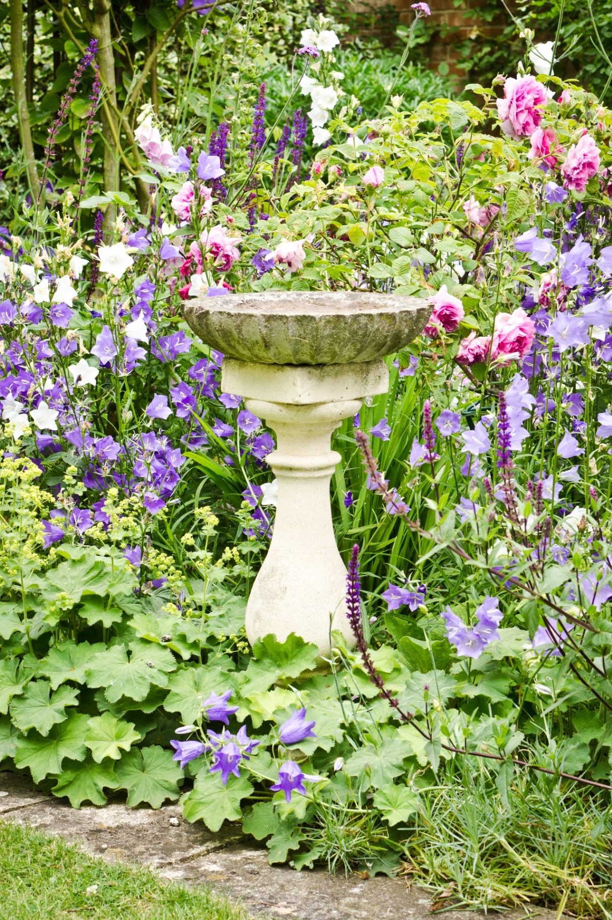A concrete birdbath in an english garden