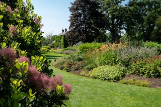 Norfolk UK. July 2021. Bressingham Gardens near Diss in Norfolk. Colourful garden in the naturalistic planting style with broad colour palatte.