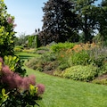 Norfolk UK. July 2021. Bressingham Gardens near Diss in Norfolk. Colourful garden in the naturalistic planting style with broad colour palatte.