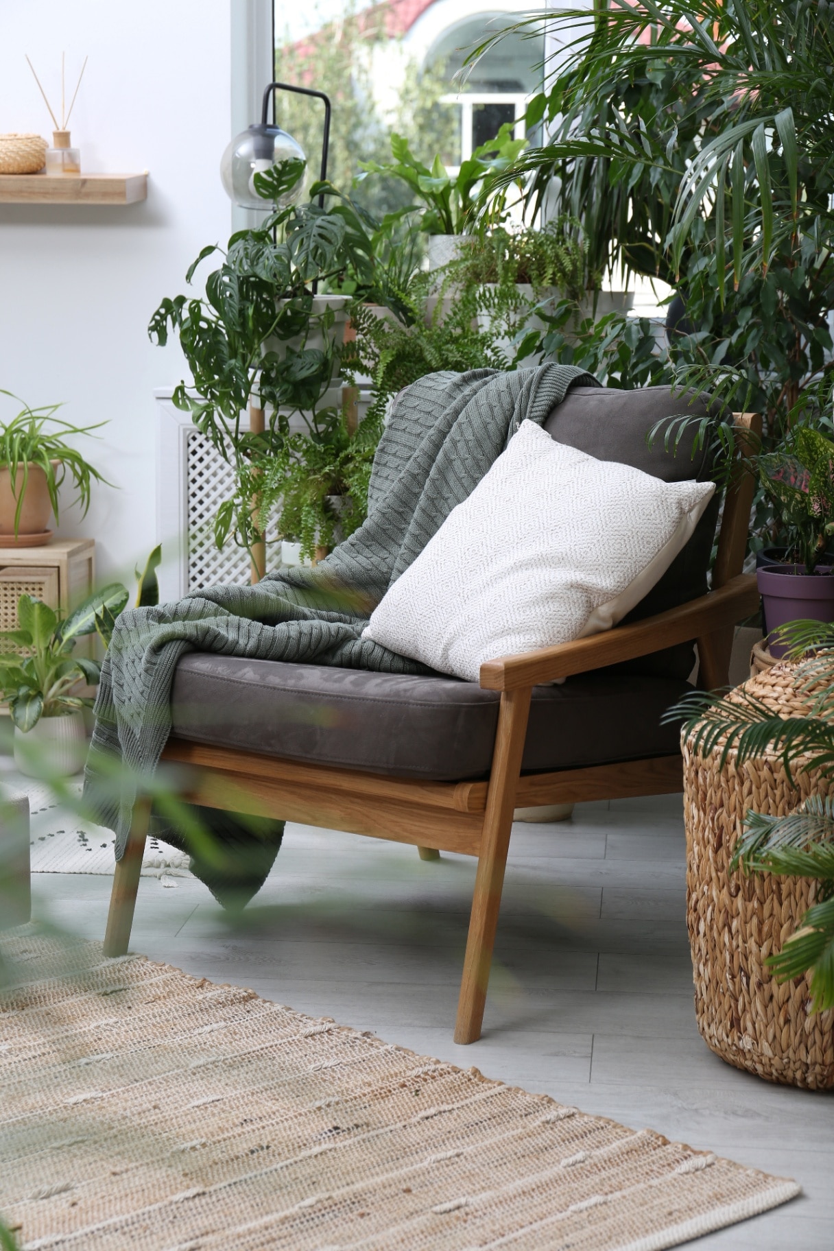 houseplants in lounge room