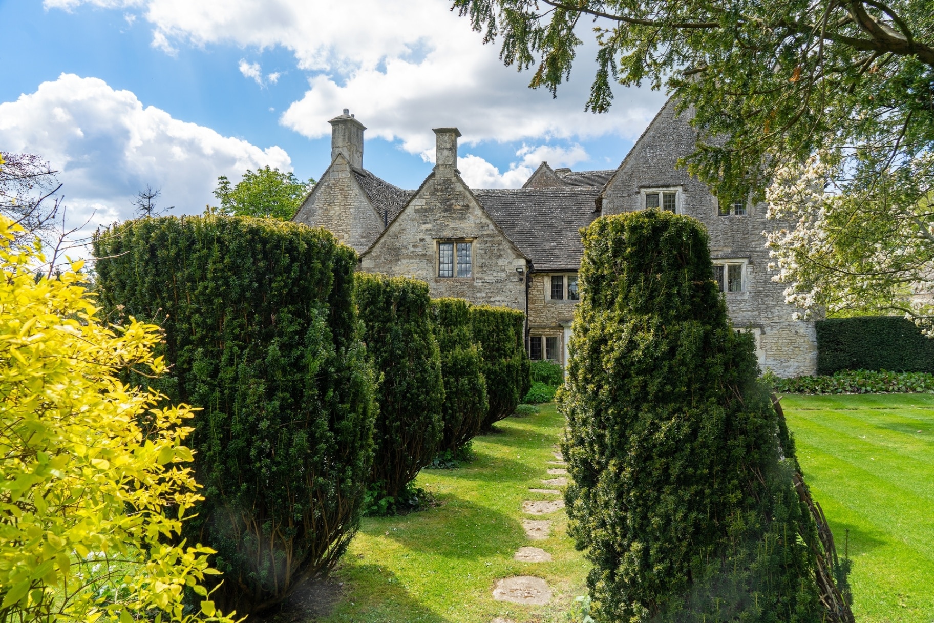 A driveway lined with Yew trees in Gloucestershire 