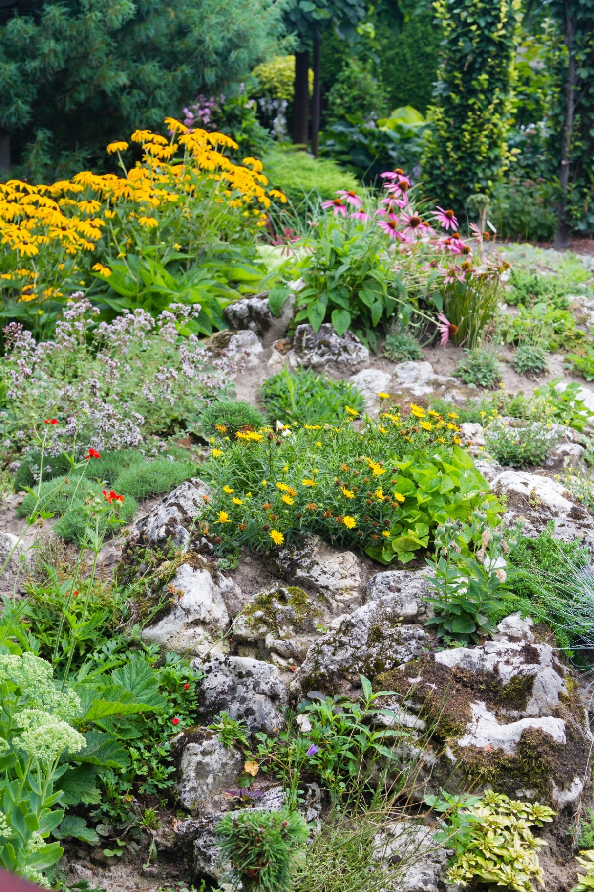 Flowery rockery in the garden