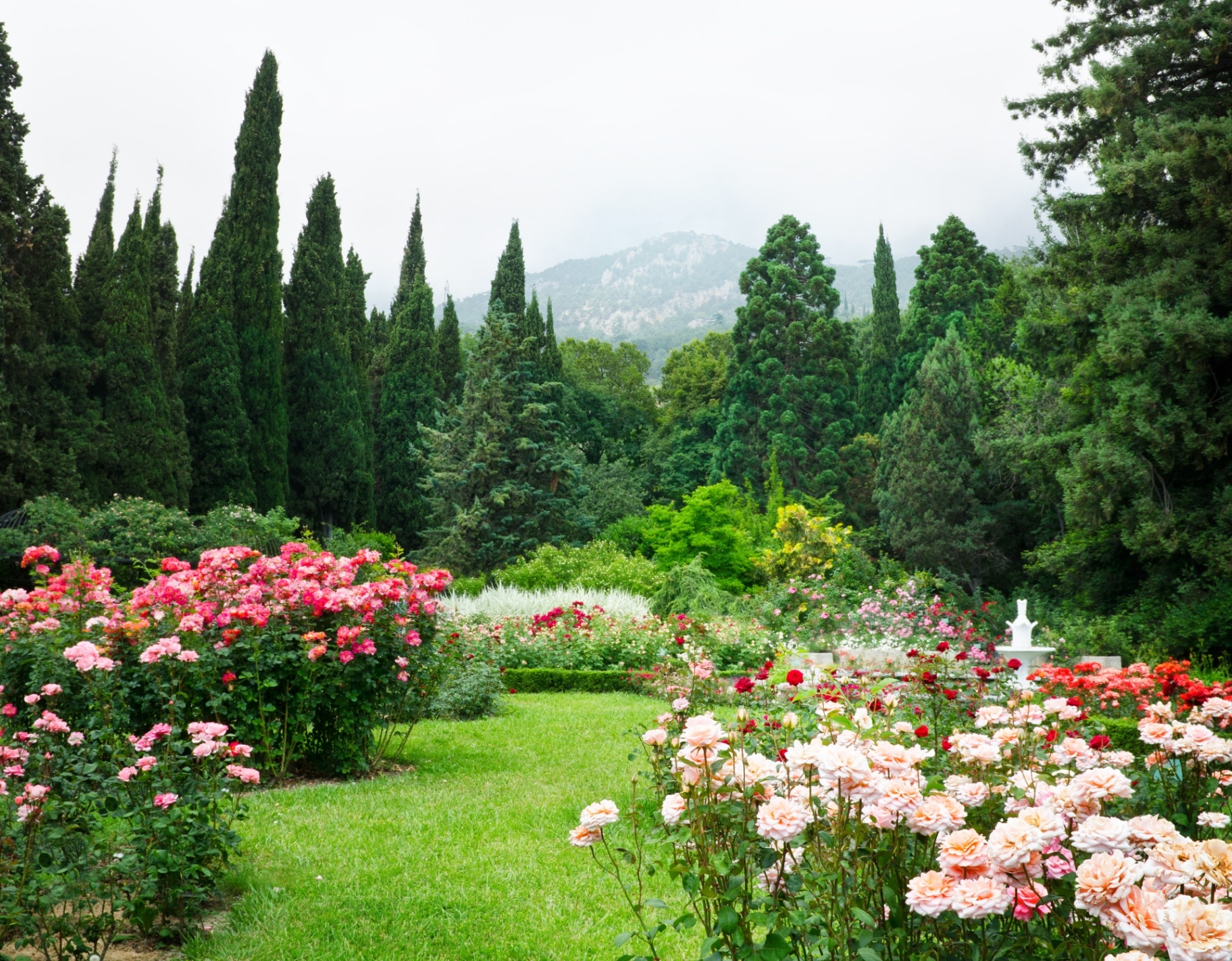 Rose Garden