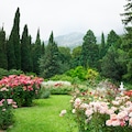 Rose Garden
