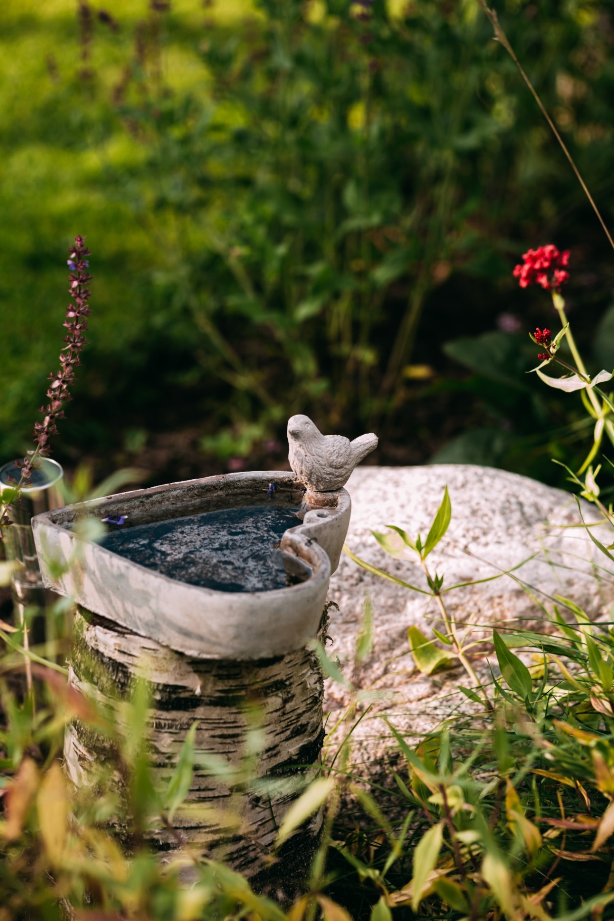Bird drinker in swedish garden, bird bowl