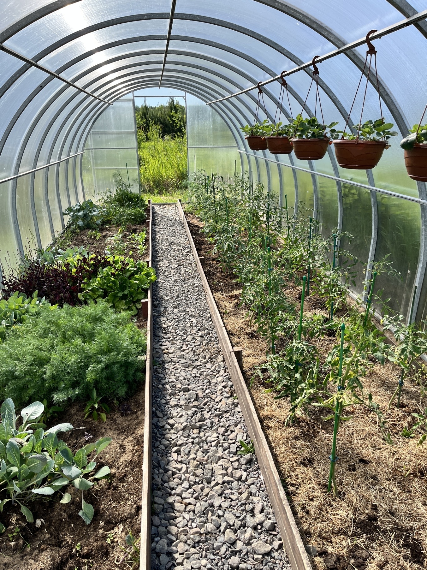 Protect crops and vulnerable plants