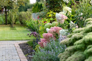 Flower bed with hydrangeas and other flowers in the garden