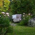 ornamental cottage garden view in summer. Blooming peonies and stachys, relax area with wooden bench, decorated with pillows and lantern