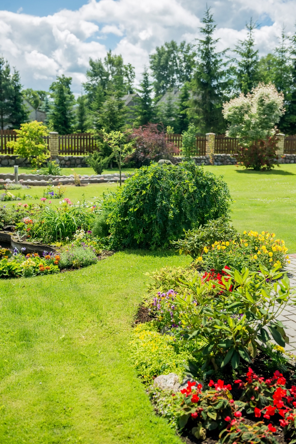 Colourful garden