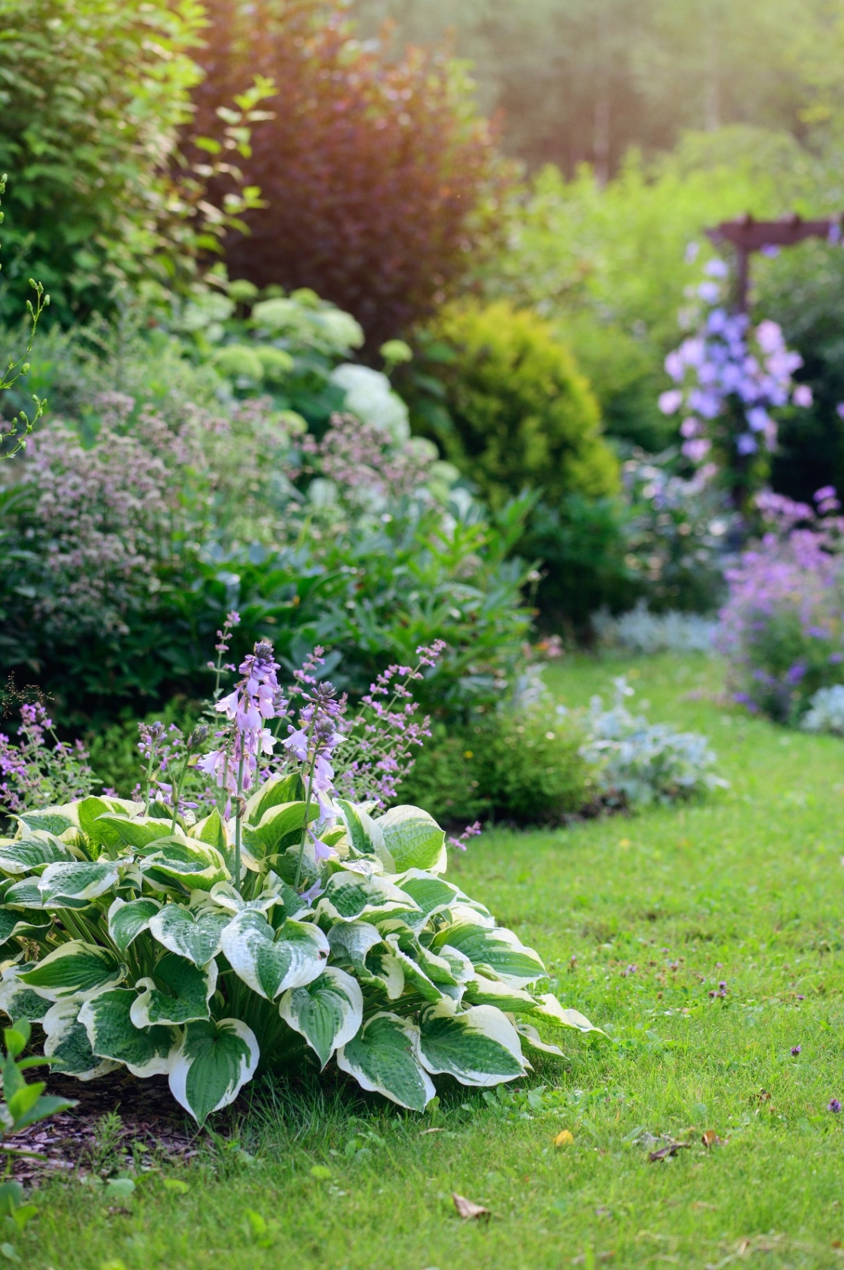 Summer garden beds