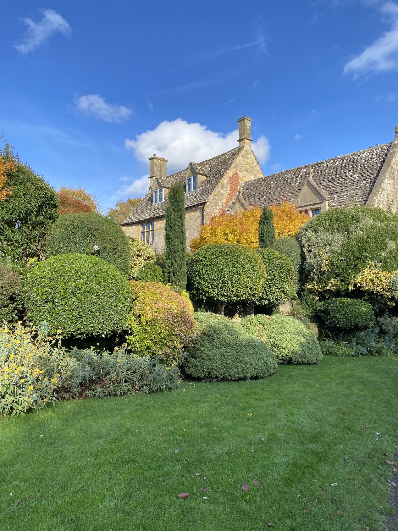 Trees in garden 