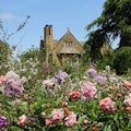 Beautiful country manor house with rose garden 