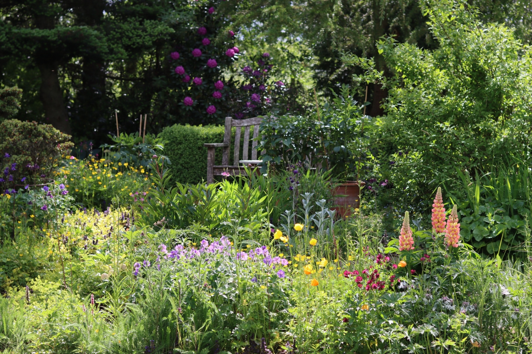 Colourful flower beds in a garden in spring
