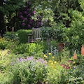 Colourful flower beds in a garden in spring