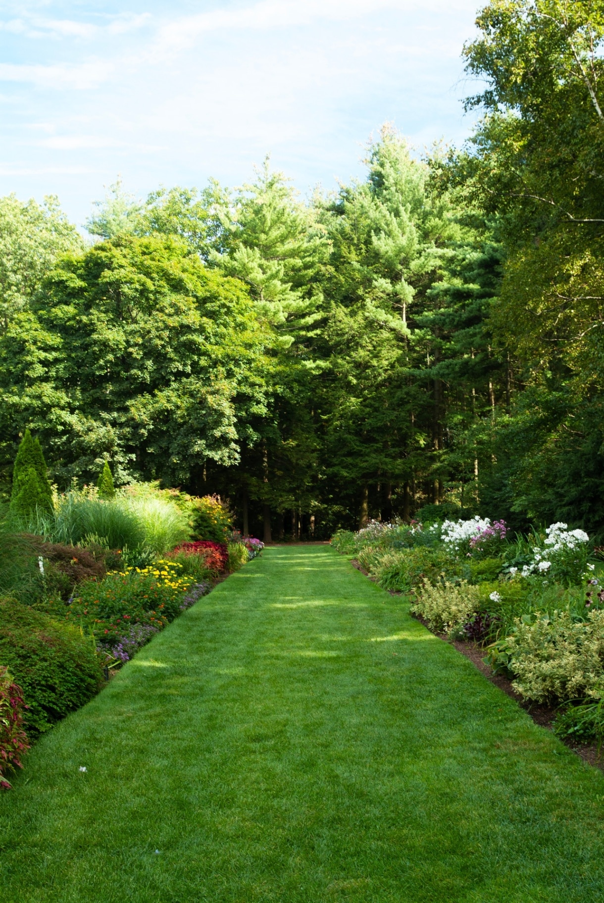 Lawn in the summer with flower beds either side