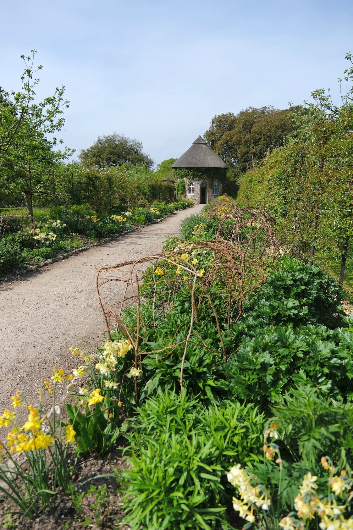 West Dean, West Sussex, England. May 1st 2025. Pathway through the walled  garden with flowers and greenery in Spring. West Dean Gardens.