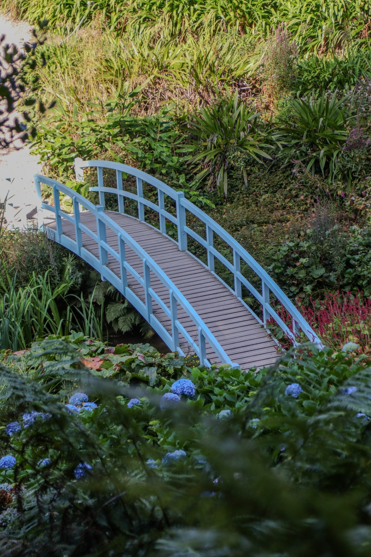 Beautiful bridge at Trebah gardens Cornwall