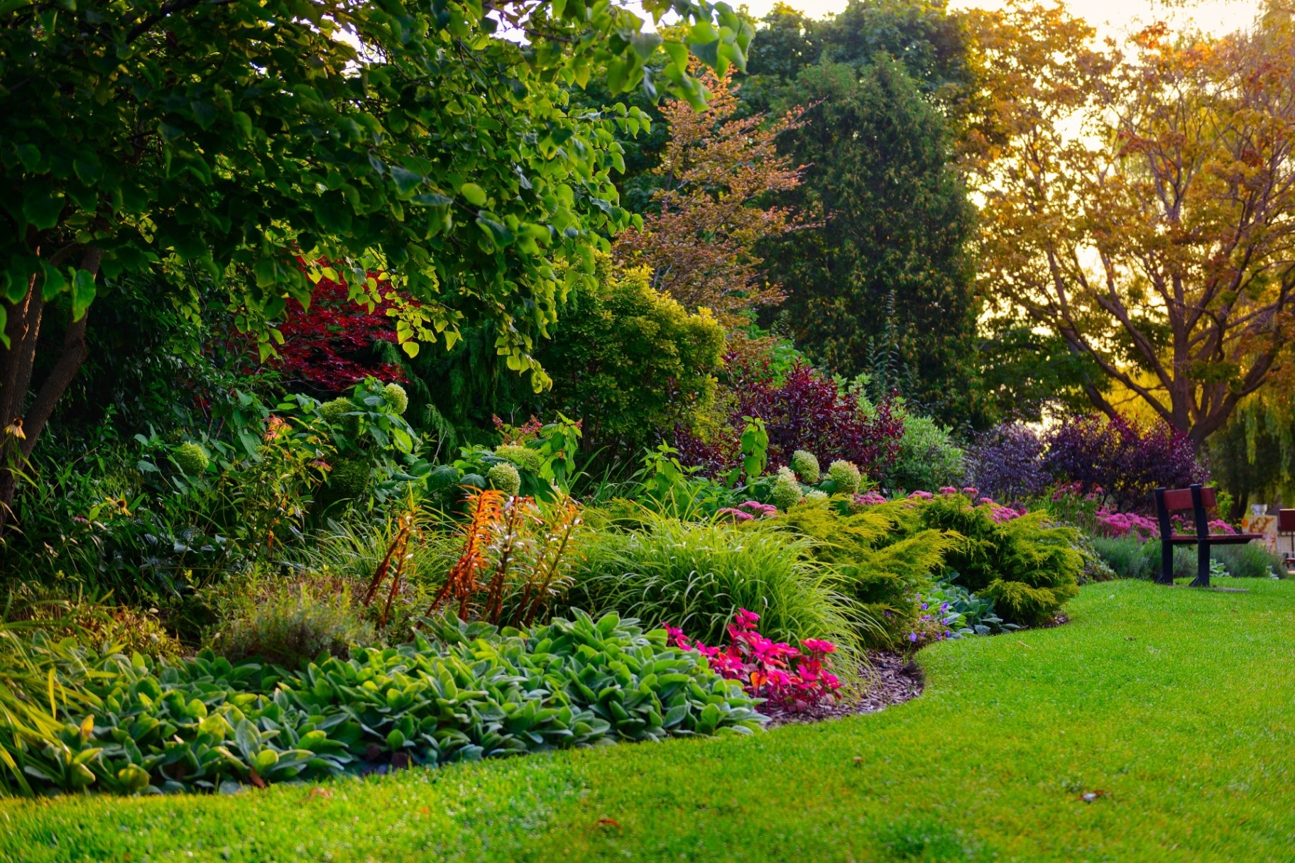 A beautiful garden with colorful flowers and trees is illuminated by warm sunset light