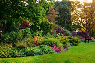 A beautiful garden with colorful flowers and trees is illuminated by warm sunset light